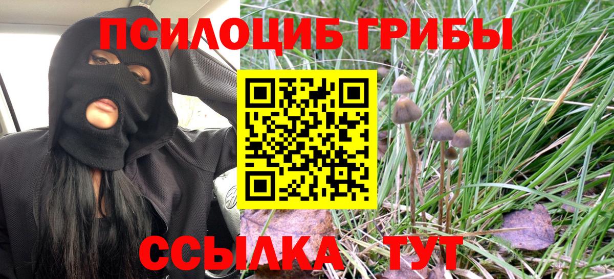Псилоцибиновые грибы MAGIC MUSHROOMS  Вход с VPN  где купить наркотик  Ессентуки  Псилоцибиновые грибы MAGIC MUSHROOMS 