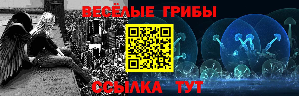 Галлюциногенные грибы Cubensis Ессентуки