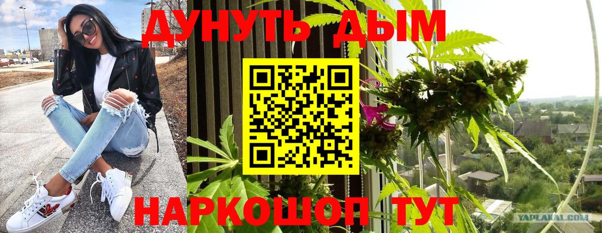 Каннабис VHQ Ессентуки